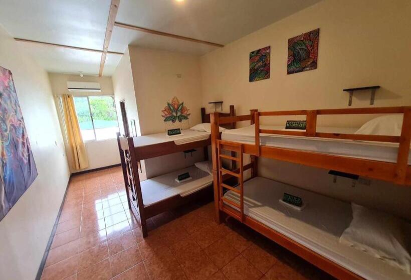 Кровать в Общей Комнате, Slow Monkey Hostel