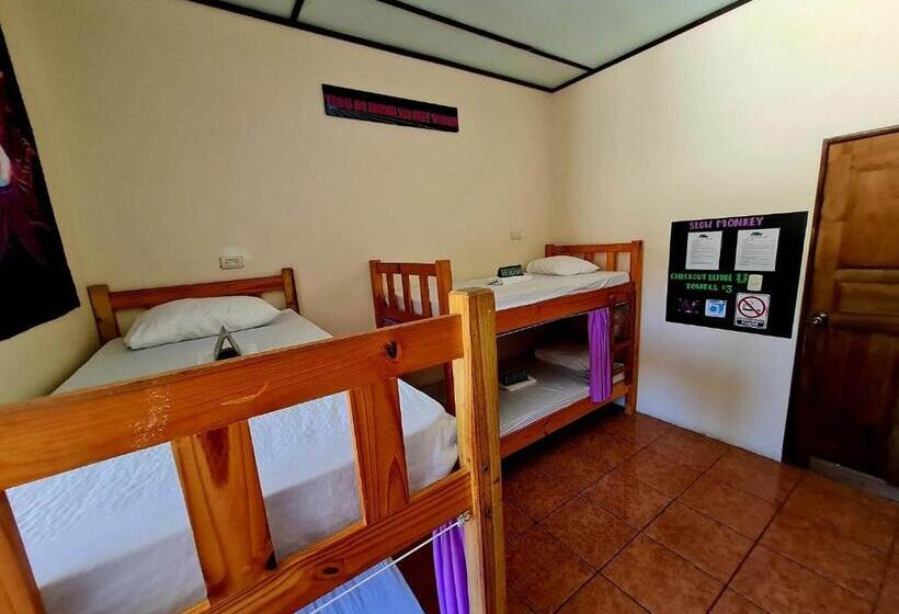 Кровать в Общей Комнате, Slow Monkey Hostel