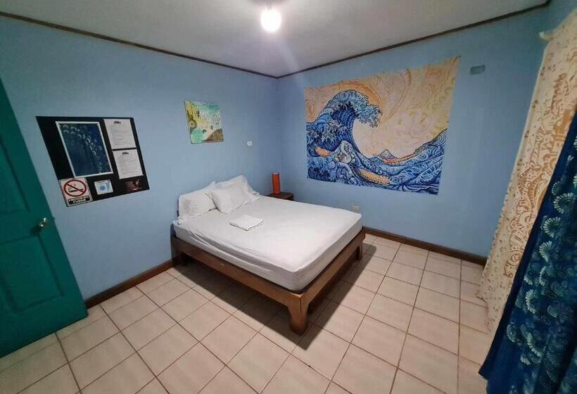 Номер Economy, Slow Monkey Hostel