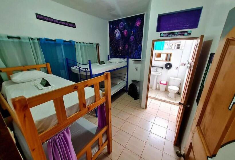 Кровать в Общей Комнате, Slow Monkey Hostel
