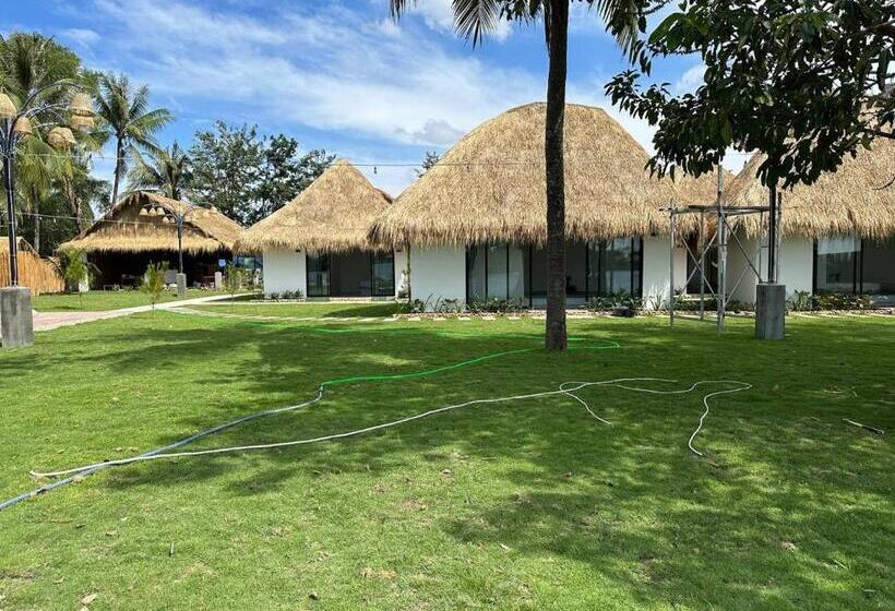 豪华海景房, Sea Sand Resort