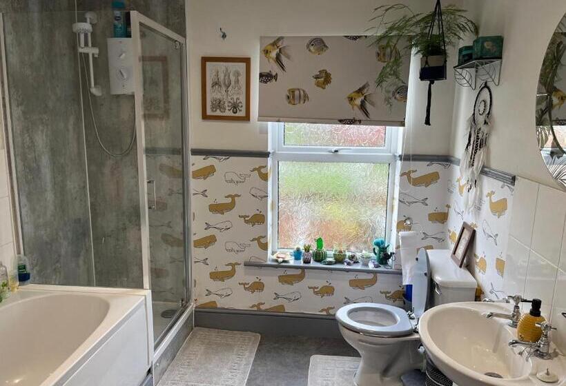 스탠다드 룸 공동 욕실, Large Room Sleeps 3 Own Tv And Cereal And Toast Breakfast In Newhaven