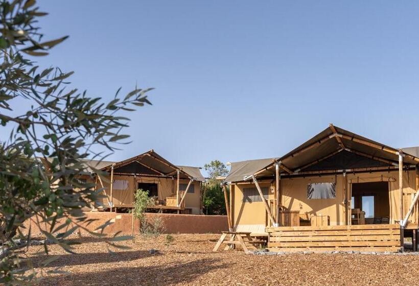 Standard Tent, Monte Flora Farmhouse