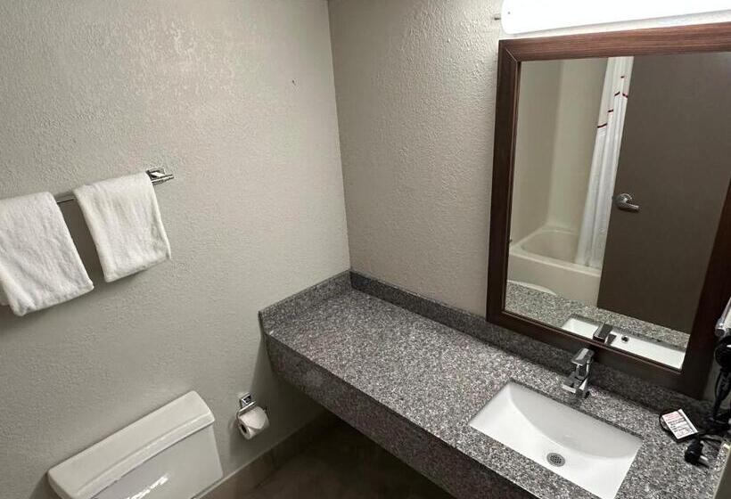 스탠다드 룸 킹사이즈 침대, Red Roof Inn Charleston   Dunbar