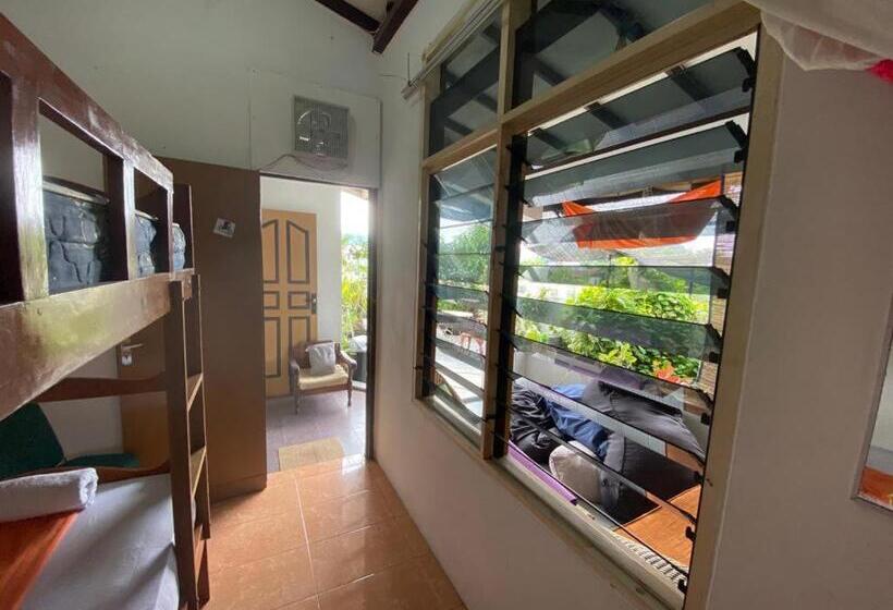 带露台的单人间, Nola S Homestay