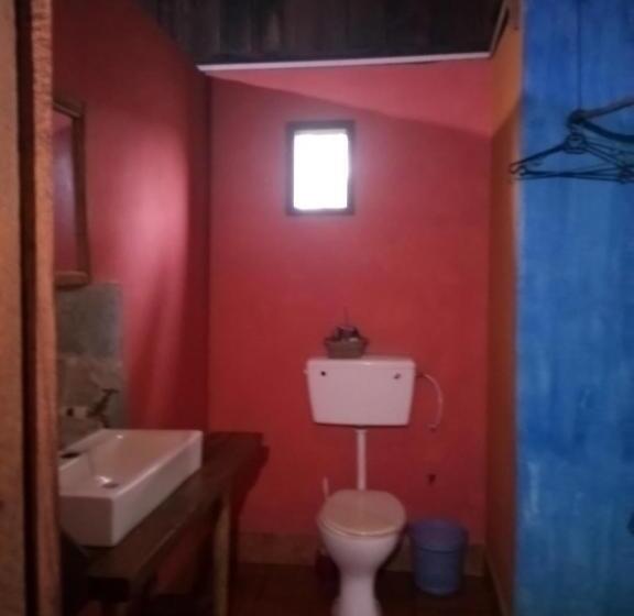 标准间, Fantas Folly Beach Lodge