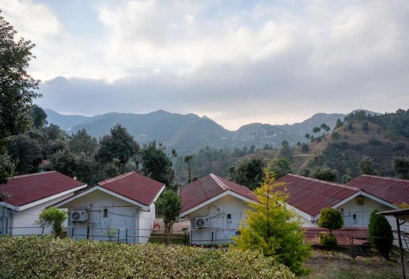 디럭스 룸, Skywood Resort