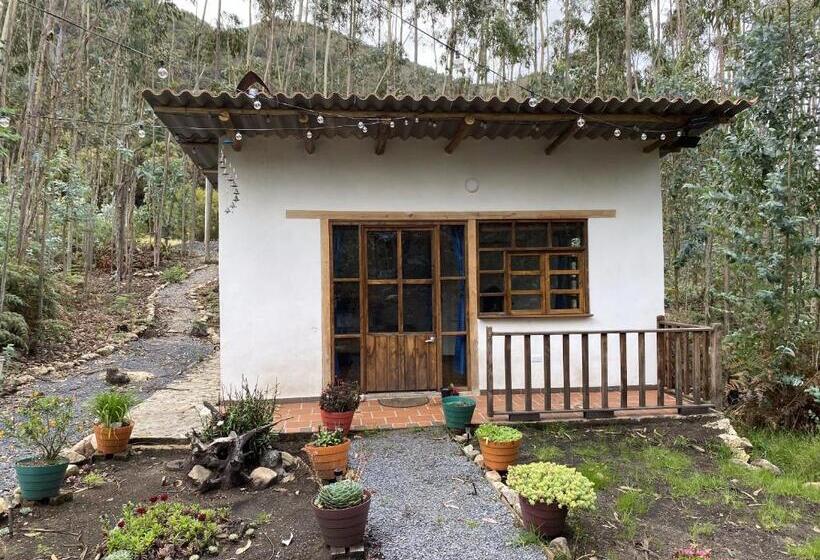 산 전망 스위트, La Roca Glamping