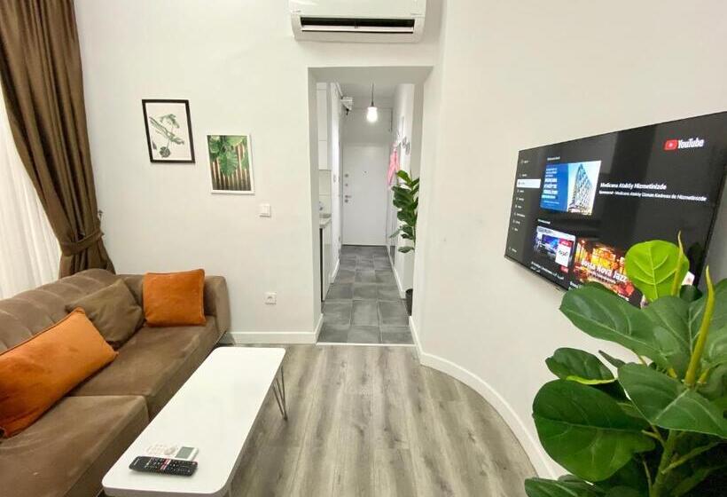 带1个卧室的豪华公寓, Flat In The Middle Of İsti̇klal