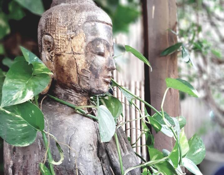Номер Стандарт, Blue Indigo Yoga Cambodia