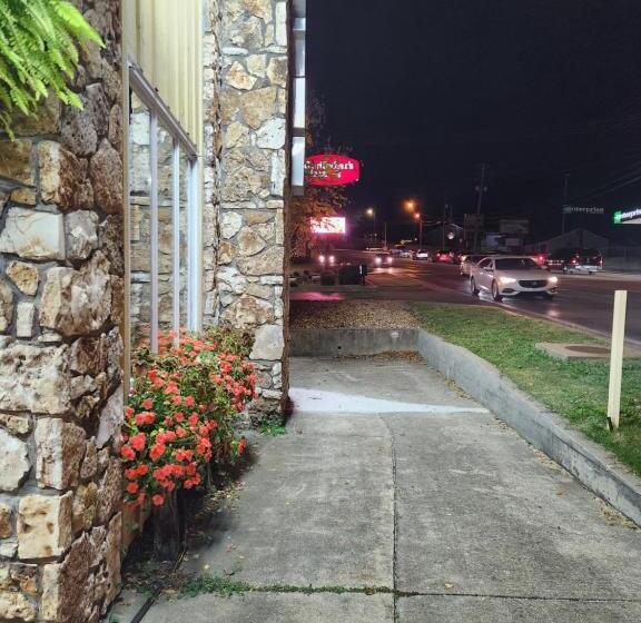 高级大房间, Homestead Motel