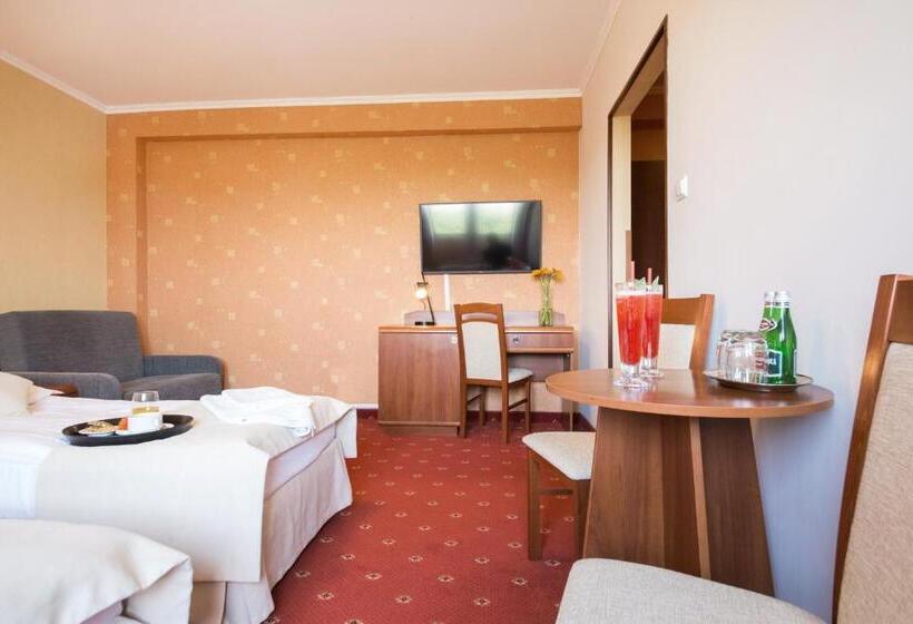 Семейный Номер, Dwór Bogucin Hotel&restauracja