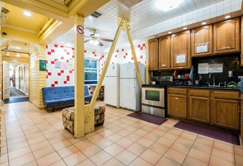 StandaardKamer, European Hostel