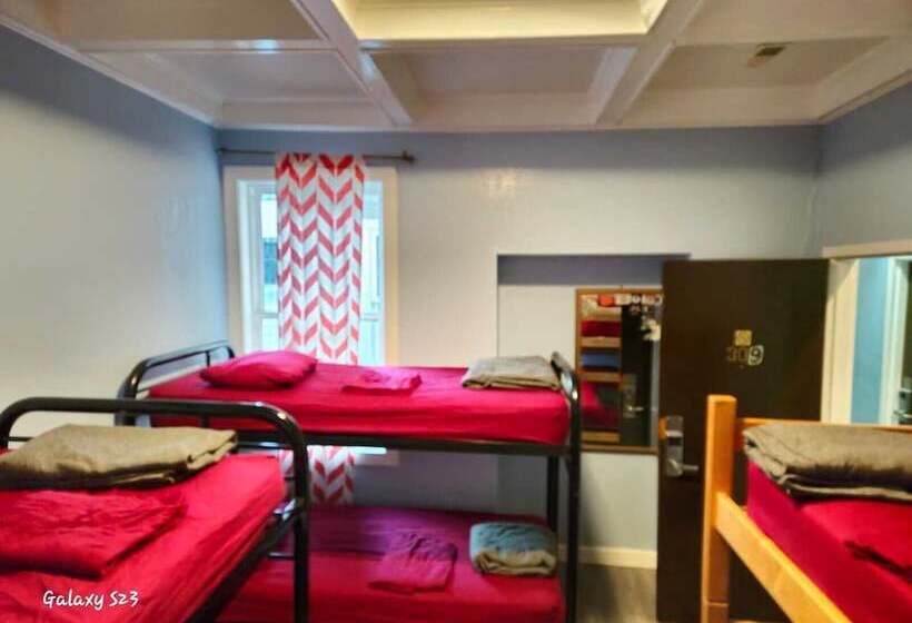 Bed in een Gedeelde Kamer, European Hostel
