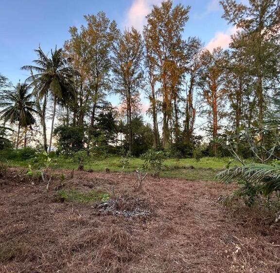 Bungalow Standard Vista Jardim, Neverland Beach Village Bungalows