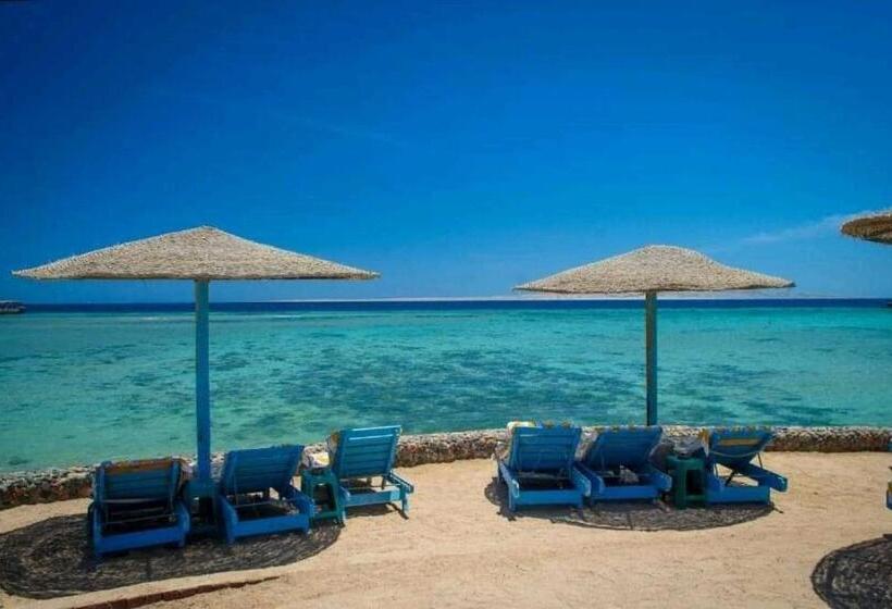 استودیوی استاندارد با چشم‌انداز دریا, Chalet Front The Beach