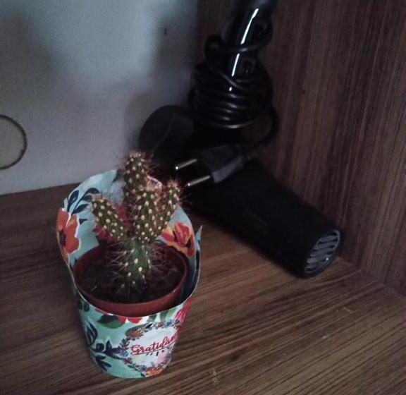 Дом 1 Спальня, Casa Do Surfista