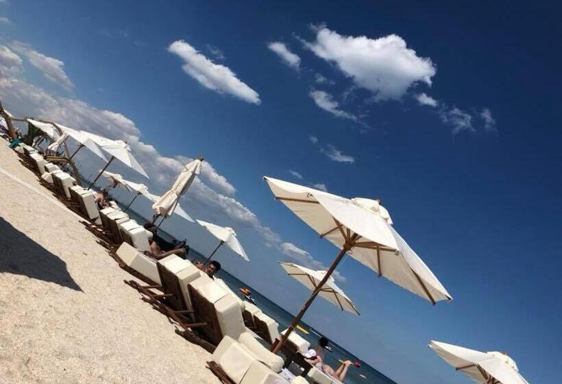 استودیوی استاندارد, Studio Bel Air Paradise