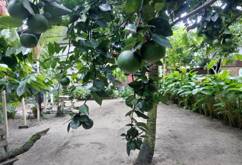 Бунгало Стандарт, Acorde Eco