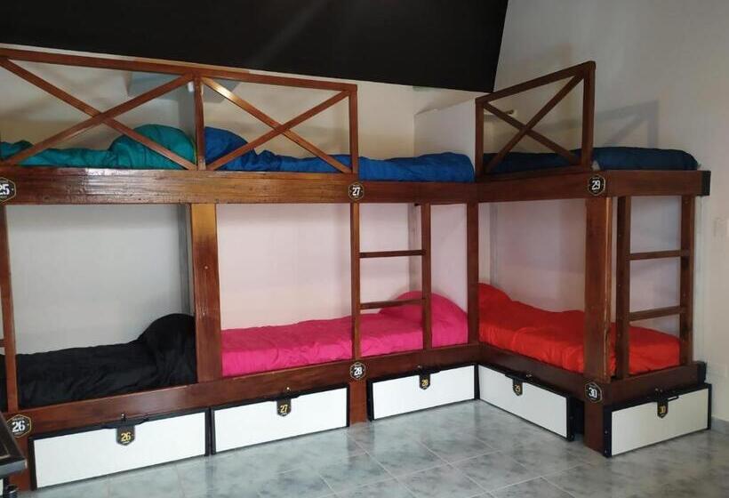 공동 객실, Hostel De La Plaza