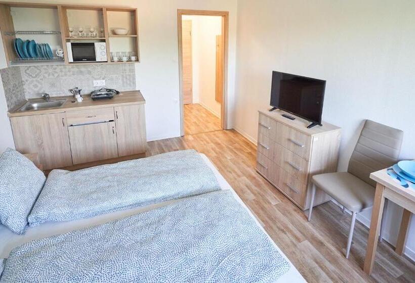 Студия Стандарт, Thermal Apartman   Em