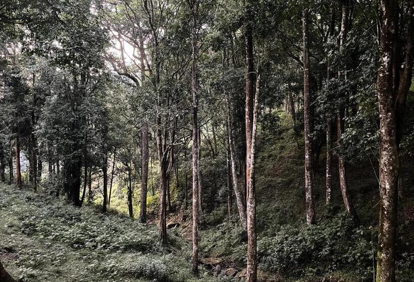 Номер Economy, 900 Woods Wayanad Eco Resort   A Sprawling Jungle Stay Near Glass Bridge