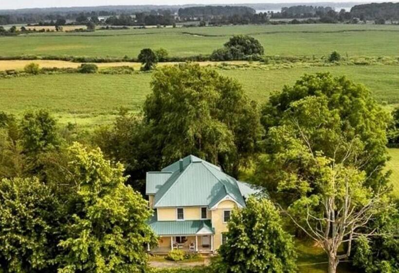 デラックススイート, Runaway Bay Guest House