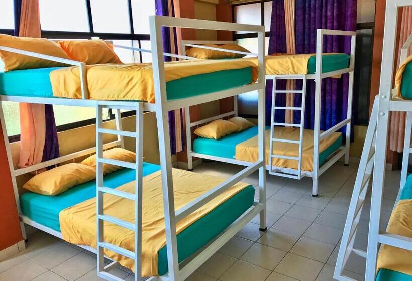 Кровать в Общей Комнате, Sandy Toes Hostel