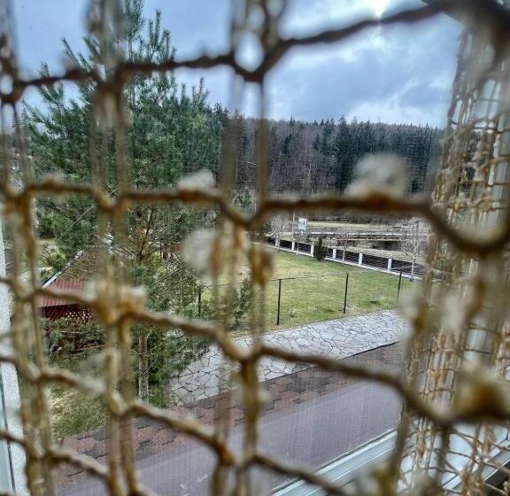 Люкс, Beregynia