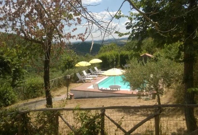 Студио Стандарт с Террасой, La Casaccia
