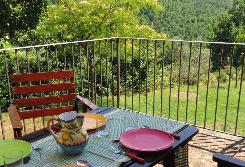 Superior studio with terrace, La Casaccia