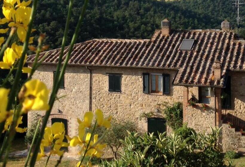 Superior studio with terrace, La Casaccia