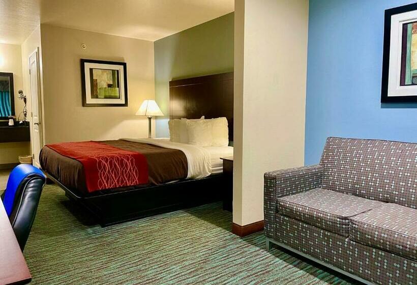 스탠다드 룸 킹사이즈 침대, Garden Inn And Suites Little Rock