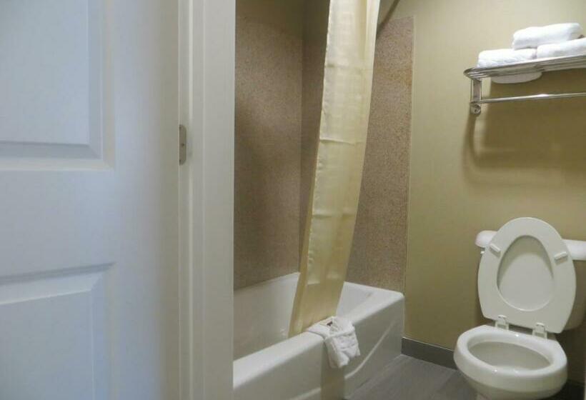 스탠다드 룸 킹사이즈 침대, Garden Inn And Suites Little Rock