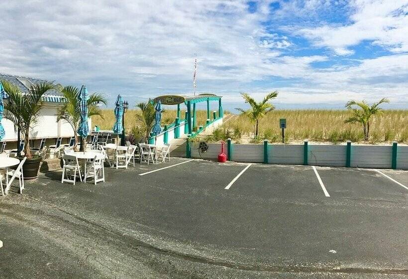 Номер Стандарт, Spray Beach