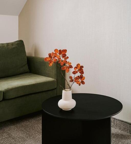 Номер Deluxe, Poziom 511 Jura Wellness Hotel & Spa