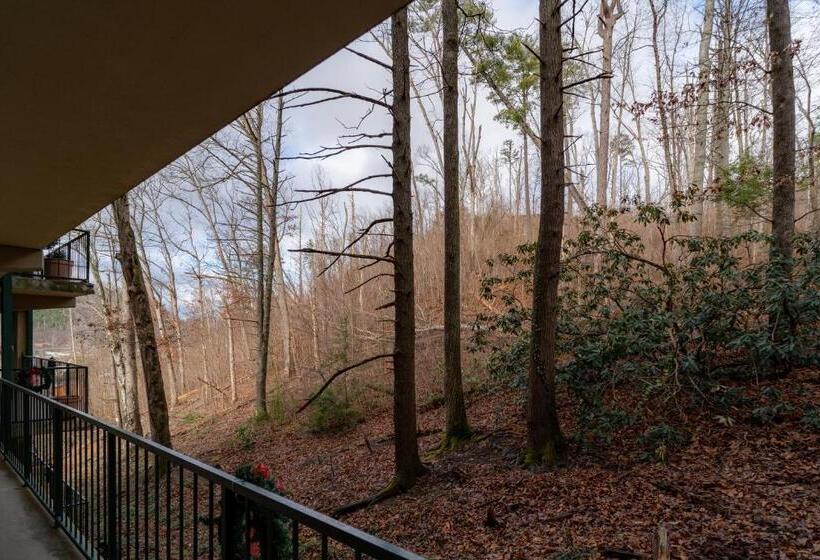 Lejlighed 1 Soveværelse m. Udsigt, Condo In Gatlinburg Very Peaceful   10 Min Walk To Main Strip