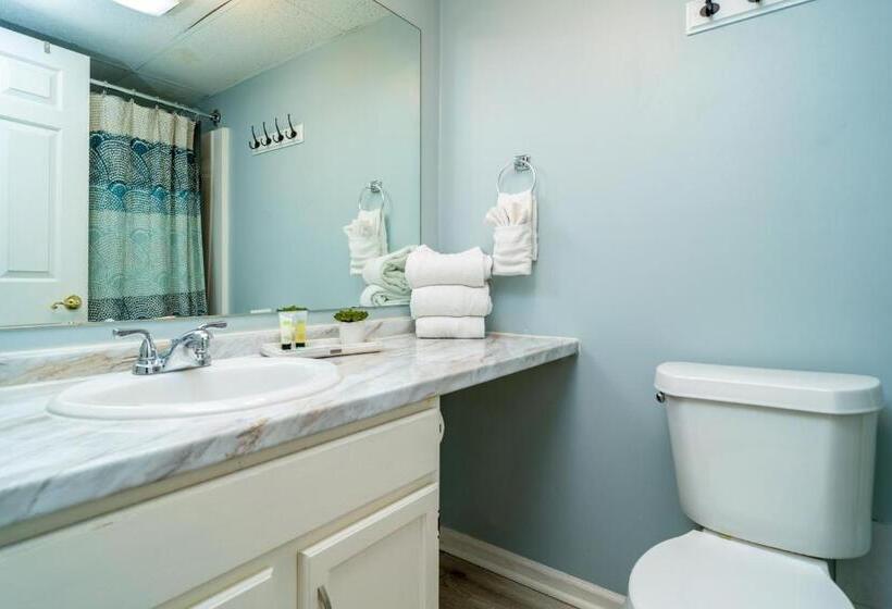 Lejlighed 1 Soveværelse m. Udsigt, Condo In Gatlinburg Very Peaceful   10 Min Walk To Main Strip