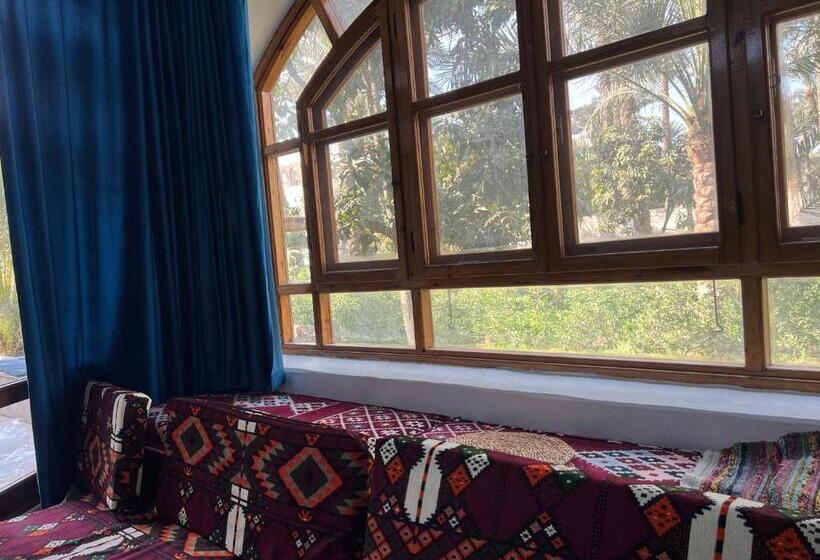 اتاق استاندارد, Pyramids View Guest Villa