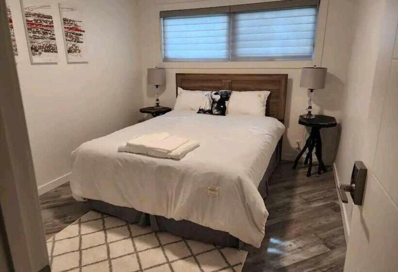 اتاق استاندارد با سرویس بهداشتی مشترک, Cozy