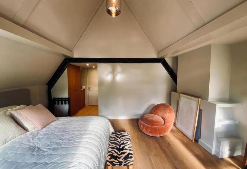اتاق سوپریور با تخت بزرگ, Townhouse  T Raap