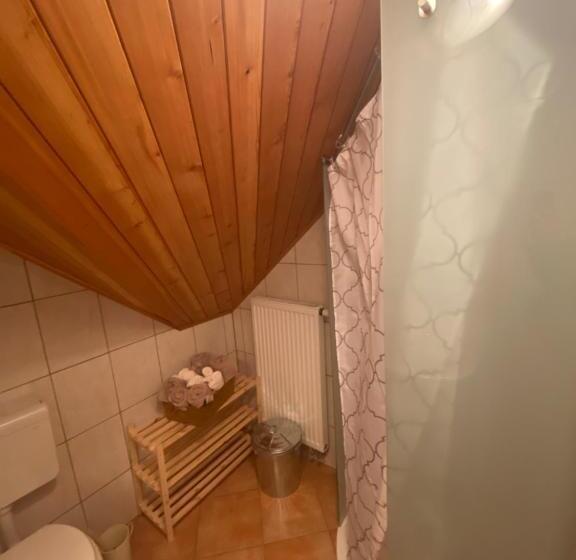 اتاق خانوادگی, Rooms Kočna