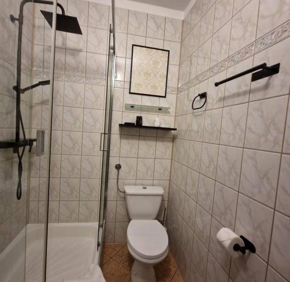 Номер Superior Кровать Кинг, Cieszyński Stare Miasto Suites
