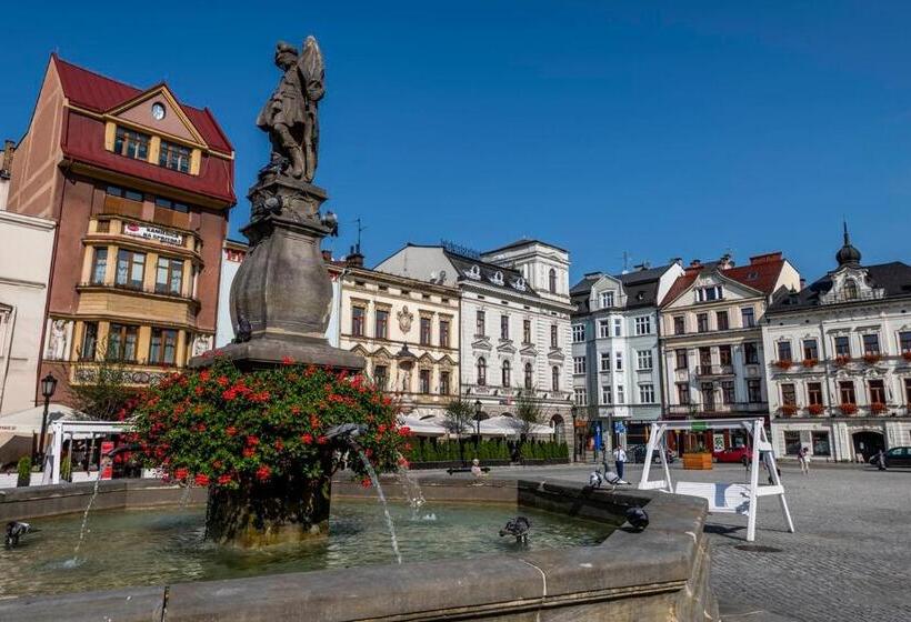 带大床的高级房间, Cieszyński Stare Miasto Suites
