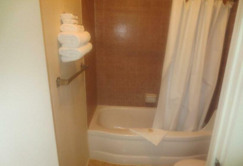 Номер Стандарт, Downtowner Inn
