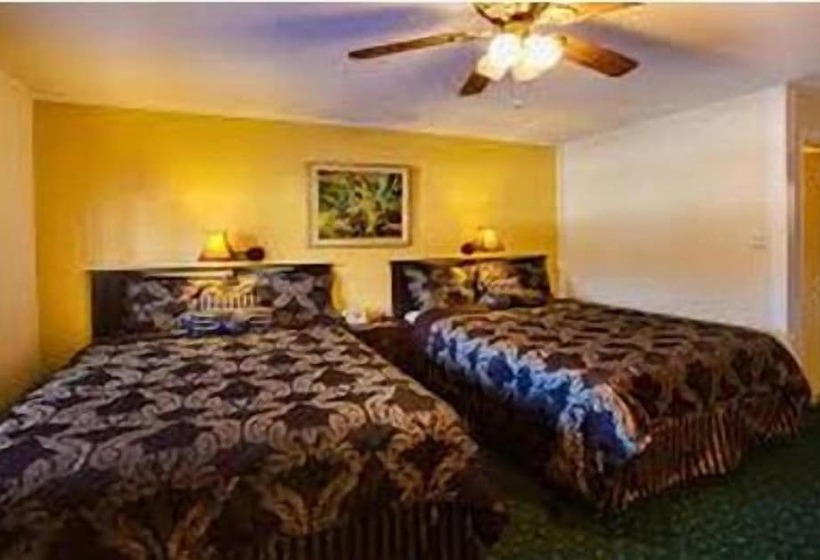 Номер Стандарт, Downtowner Inn