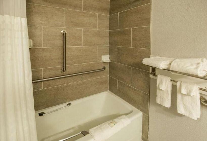 장애인을 위한 스탠다드 룸, Quality Inn & Suites Hammond Near I 8090