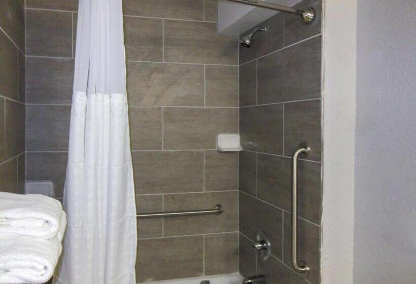 장애인을 위한 스탠다드 룸, Quality Inn & Suites Hammond Near I 8090