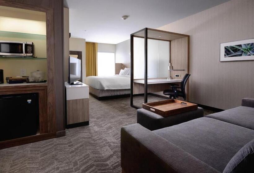 带大床的标准工作室, Springhill Suites By Marriott San Antonio Northwest At The Rim