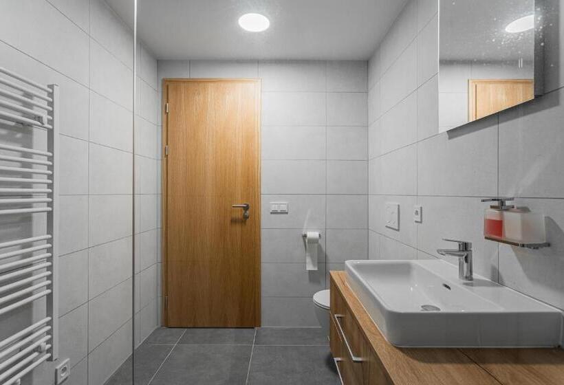Апартаменты 1 Спальня, Abertamy Platz Apartments
